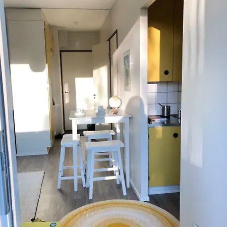 Maisa's Studio Apartment Iisalmi